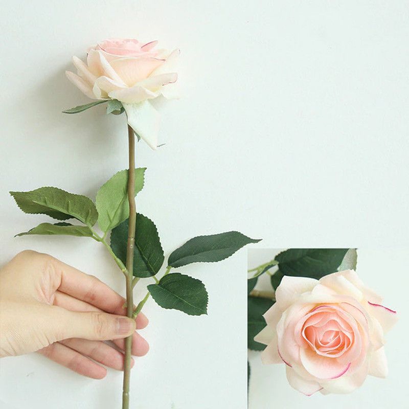Daissy Raise Clear Rose Artificial Flower  (12 inch, Pack of 1, Flower Bunch)