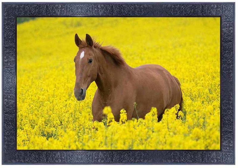 pnf Vastu Horse Frames Wood Photo Frames with Acrylic Sheet (Glass)7735- Digital Reprint 10 inch x 14 inch Painting  (With Frame)