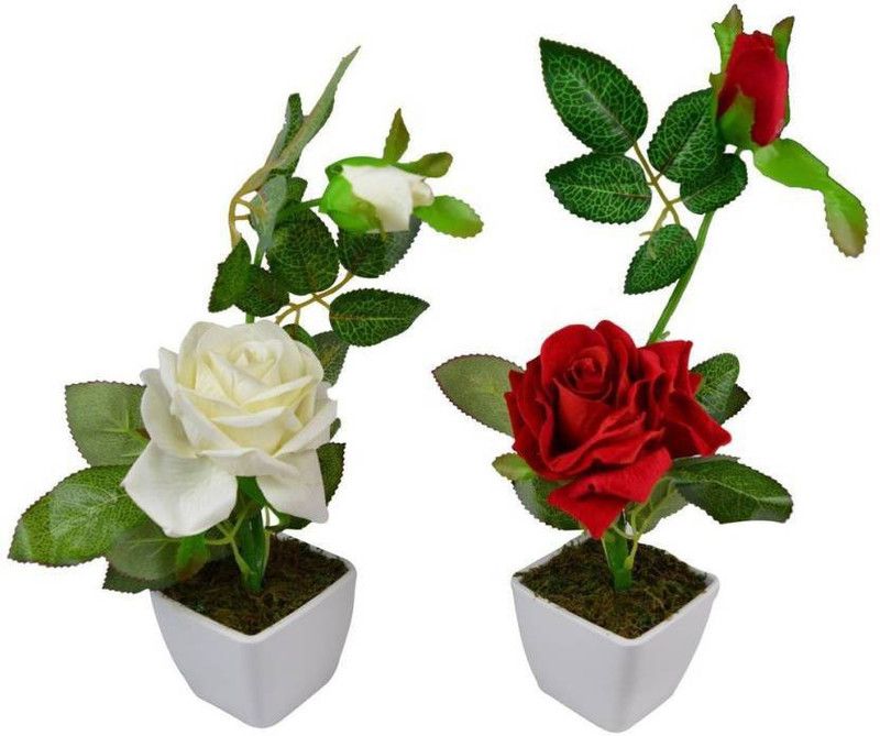 uc Red, White Rose Artificial Flower with Pot  (13 inch, Pack of 2, Single Flower)