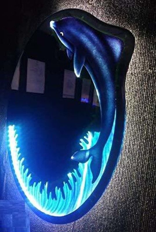 Arvind sanitary Blue Dolphin led Mirror Lighted Mirror  (Oval)