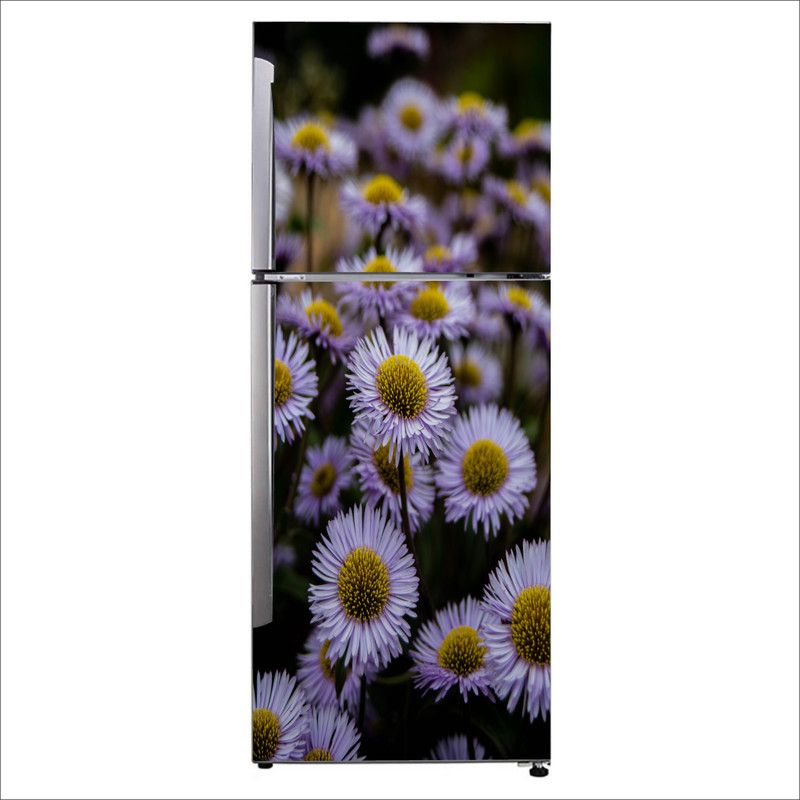 K2A Studio 60 cm Beautiful white and yellow sunflower with blur background fridge sticker Self Adhesive Sticker  (Pack of 1)
