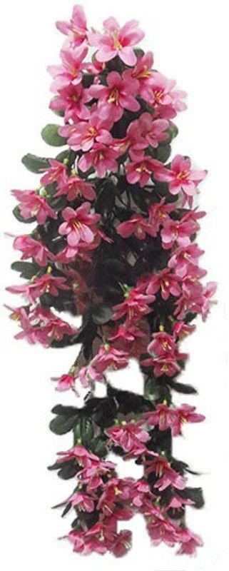 saf New Orkit Pink Artificial Flower Hanging For Home And Office Decor (24 Inch , Pink) Pink, Pink Orchids Artificial Flower  (24 inch, Pack of 1, Vine & Creepers)