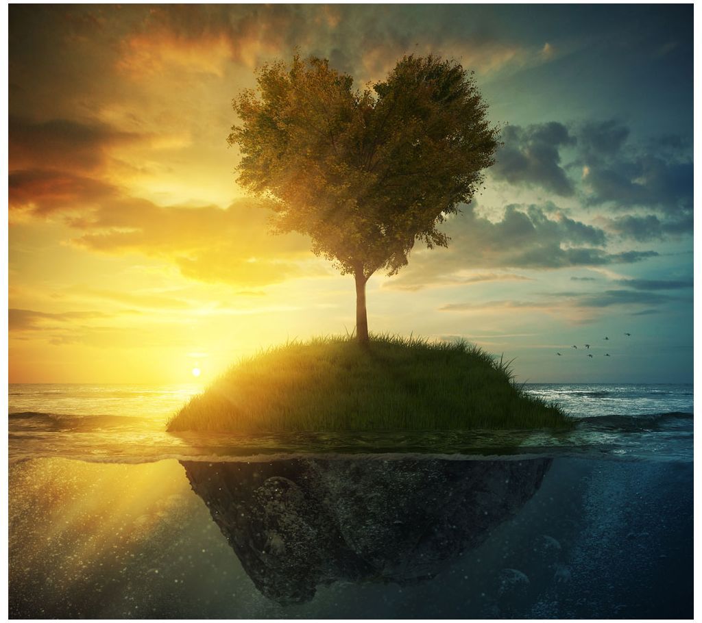 CNVS-481 Love Tree Wall Canvas Art Prints 48 inch x 36 inch