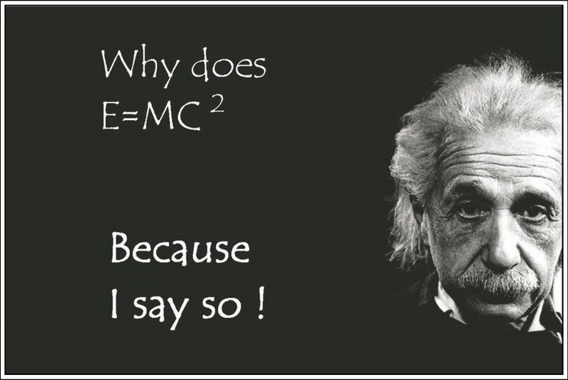Because I say so Albert Einstein funny Wall Poster Print on Art Paper 13x19 Inches Paper Print  (19 inch X 13 inch, Rolled)