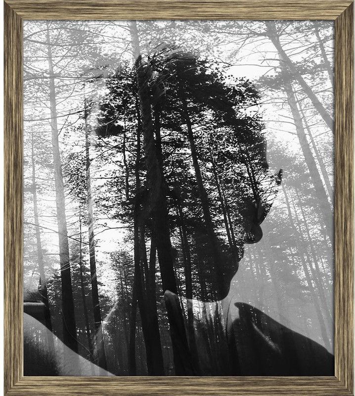 Artzfolio Deep Forest Framed Wall Art Painting Print Canvas 13.5 inch x 12 inch Painting  (With Frame)