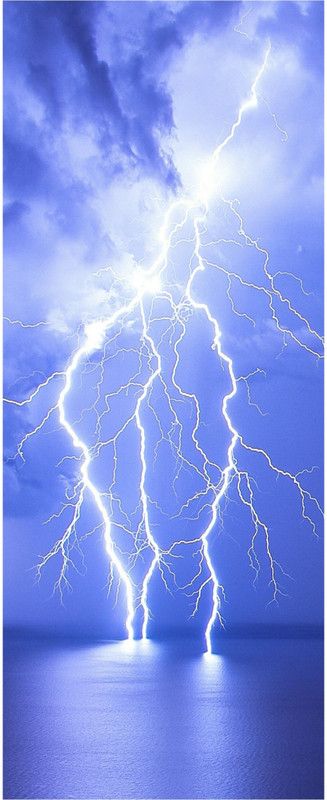 Divin studio 60 cm Fridge Sticker Decorative Refrigerator cool tampa bay lightning Door Sticker PVC Vinyl Multicolor Design Fridge Wrap Sticker (160 cm x 60 cm or 63 X 24 Inches) (Design20) Self Adhesive Sticker  (Pack of 1)
