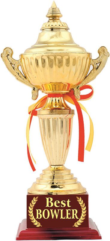 AARK INDIA Award : Cricket Best Bowler Trophy Gift : (PC-00489) Trophy  (11.5 Inches)