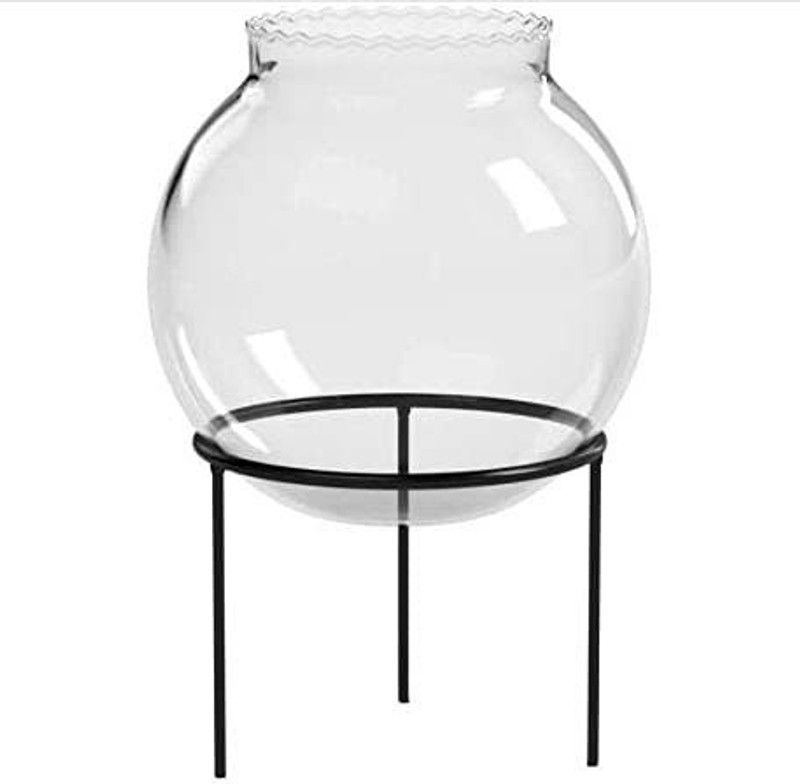 seaqua Fish Bowl with Metal Stand, Candy Bowl, Glass Bowl, Fish Pot, Lucky Bamboo Pot, Glass Terrarium 6" Glass Vase  (8.85 inch, Clear)