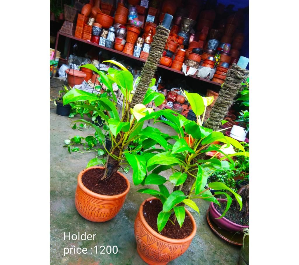 Holdar