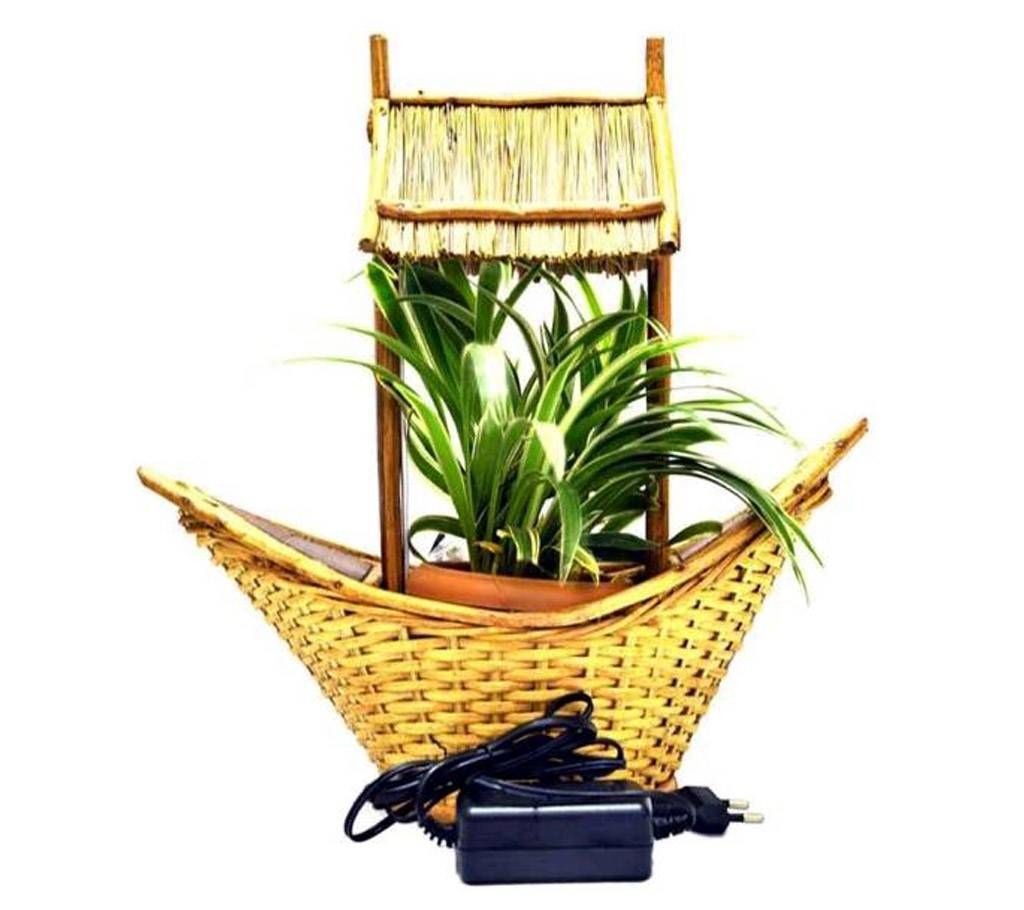 Live Indoor Plant With LED light