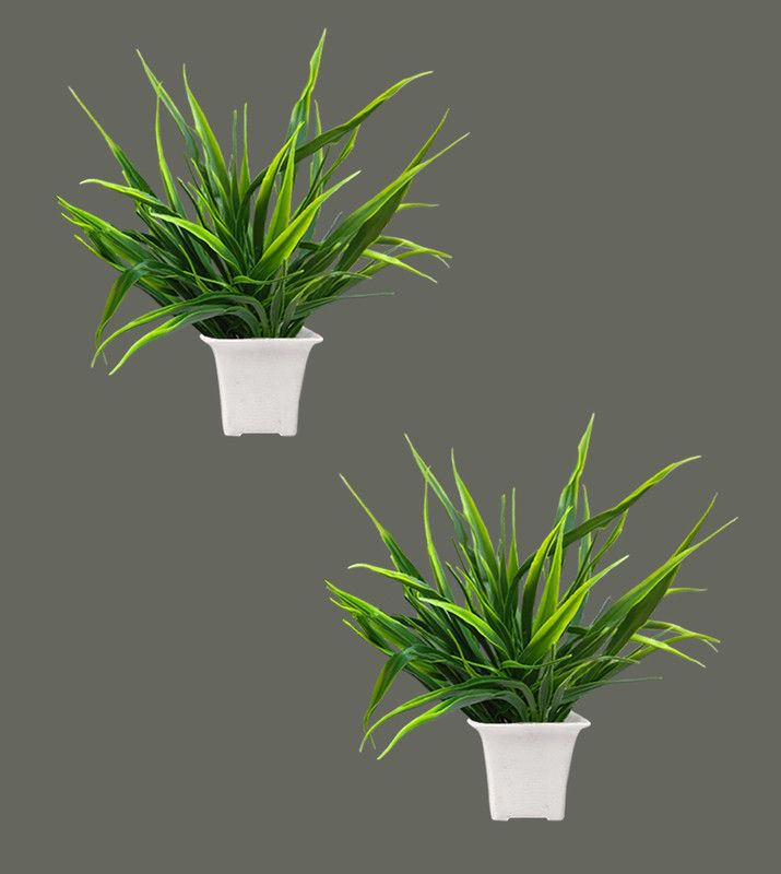 NIDHI ROYAL COLLECTION Green Wild Flower Artificial Flower with Pot  (7.99 inch, Pack of 2, Flower with Basket)