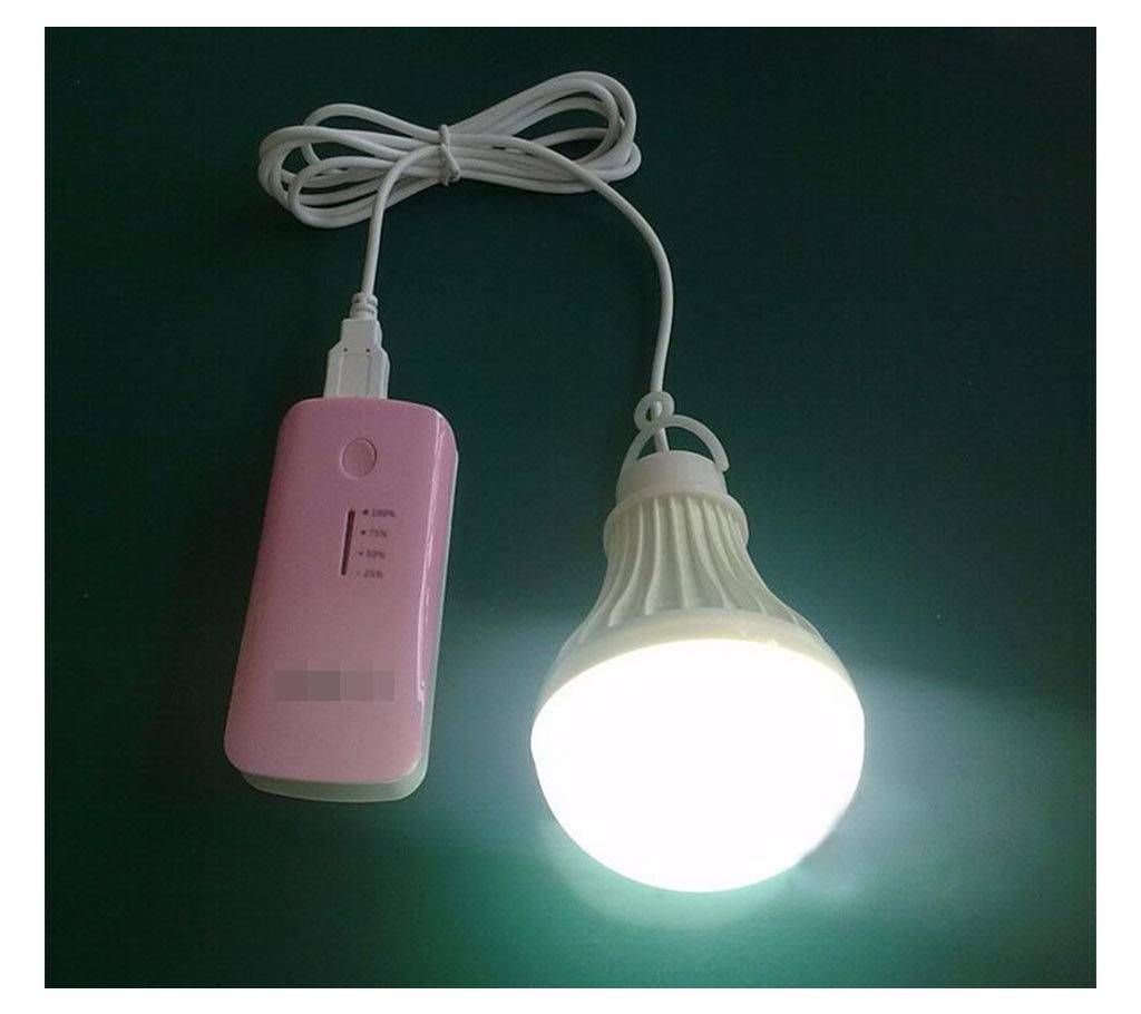 LED bulb lights