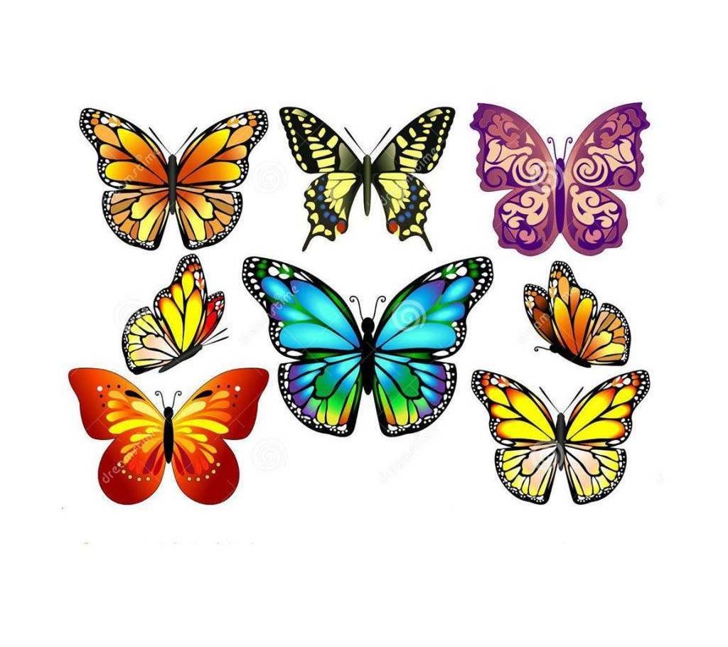 Butterfly Wall Sticker Plastic Made-12 Pcs 