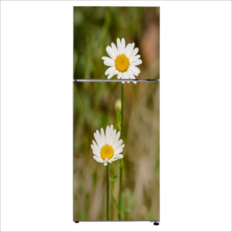 Advait Designs 60 cm Advait Designs Decorative Beautiful white chamomile flower fridge sticker Self Adhesive Sticker  (Pack of 1)