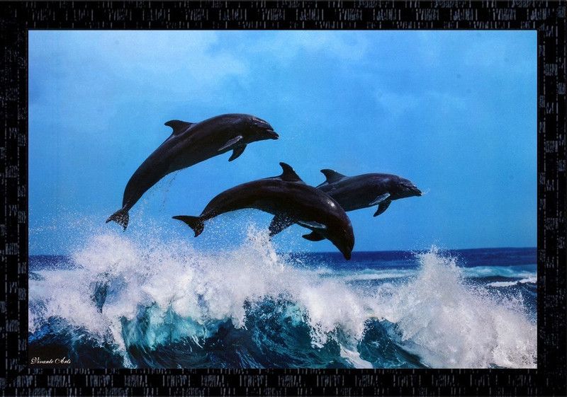 Janki Fly Fish Wall Painting with frame home decoration items Canvas 14 inch x 20 inch Painting  (With Frame)