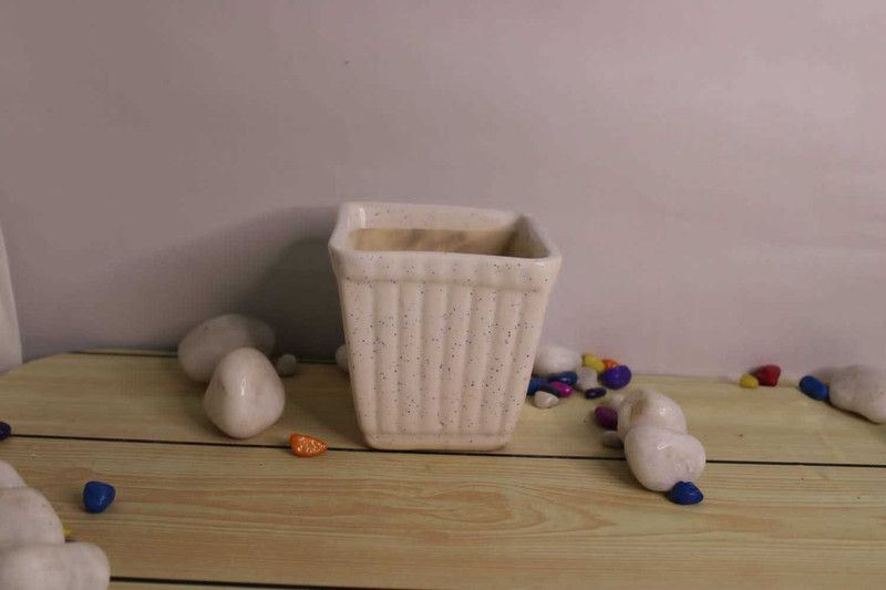 Ceramic Vase  (5.5 inch, White)