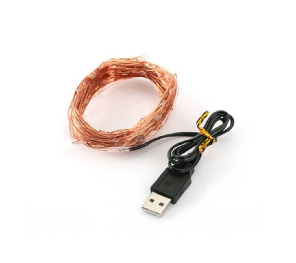 String Light ( 10 Meter)