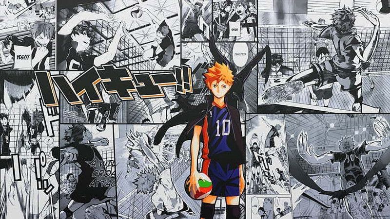 X Anime Haikyuu Hinata Matte Finish Poster Photographic Paper  (12 inch X 18 inch)