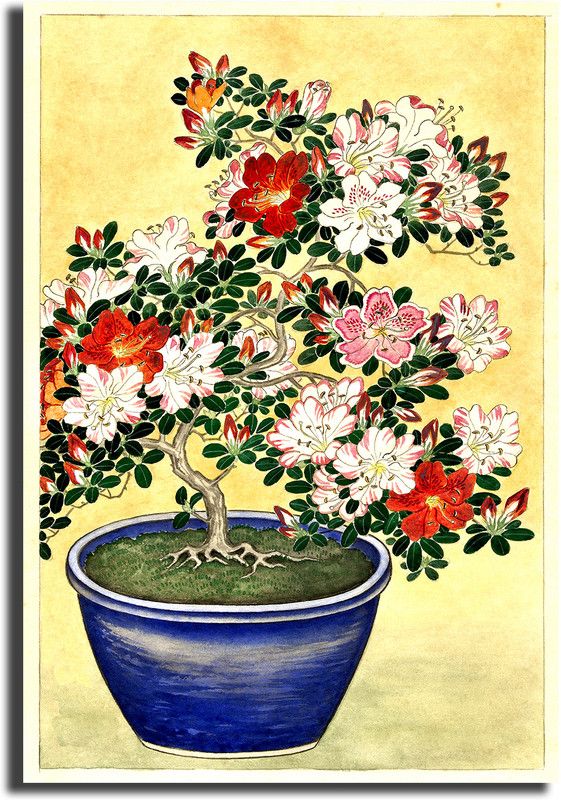 Sikhash Nature Unframed Canvas Painting Wall Décor Home Decoration Gift item - m162 Digital Reprint 23 inch x 35 inch Painting  (Without Frame)