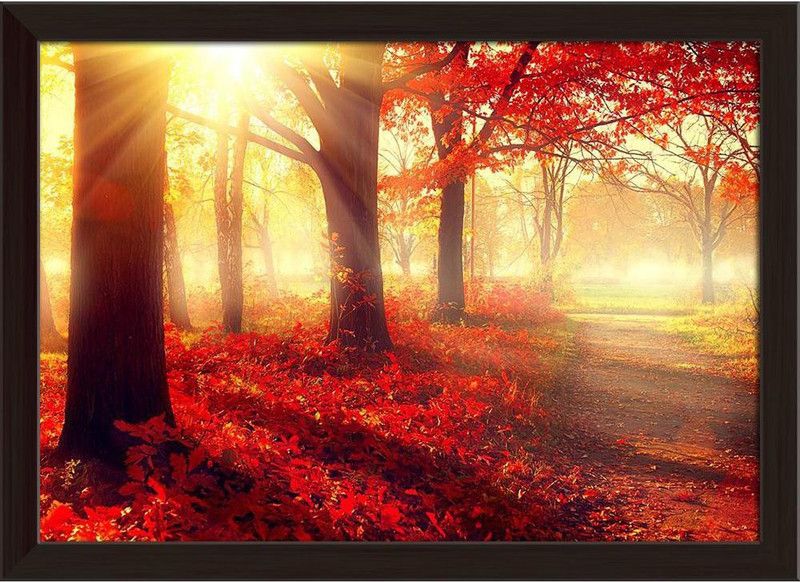 Artzfolio Old Autumn Forest Framed Wall Art Painting Print Canvas 12 inch x 16.4 inch Painting  (With Frame)