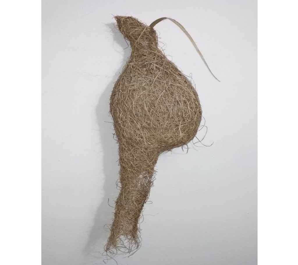 Babui birds nest