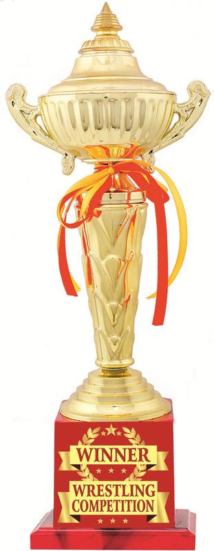 AARK INDIA WRESTLING COMPETITION WINNER SPORTS TROPHY:EVENT AWARD (PC 00414) Trophy  (16)