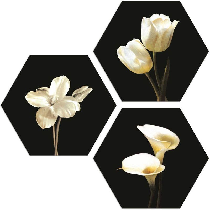 Wrap Up Box White Flower 3 Piece Hexagon MDF Painting Digital Reprint 21.5 inch x 21.5 inch Painting  (Without Frame, Pack of 3)