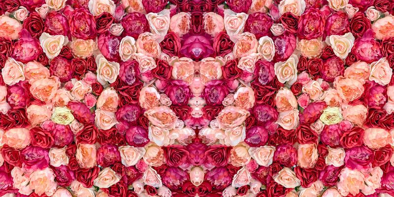 GNRCDIGITALMART Decorative Multicolor Wallpaper  (120 cm x 40 cm)