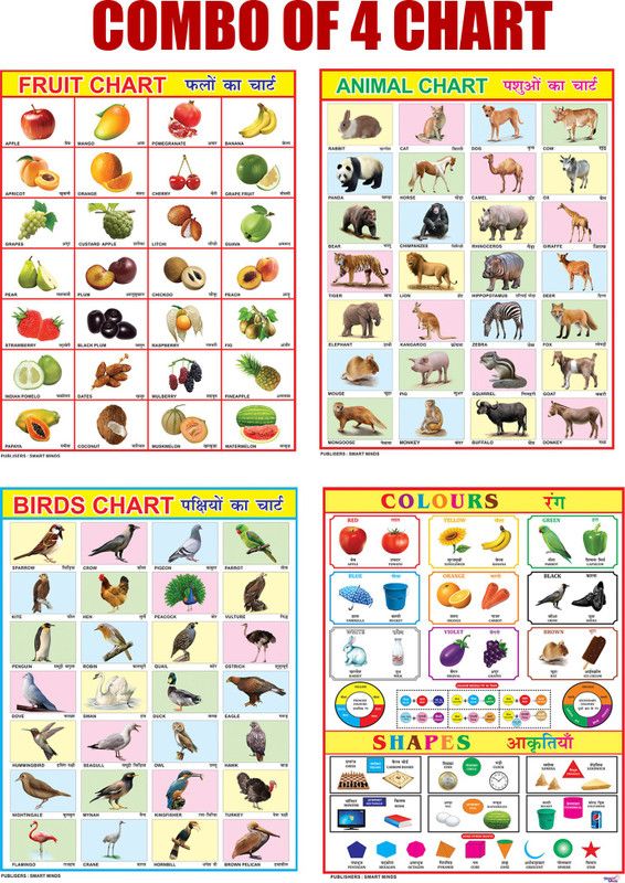 Combo of 4 Chart | Animals, Birds, Fruits & Colours & Shapes Chart For Kids | 20x30Inch (51x76cm)| Laminated chart | Waterproof and Non tearable Wall Chart Paper Print. Paper Print  (40 inch X 28 inch, Rolled)