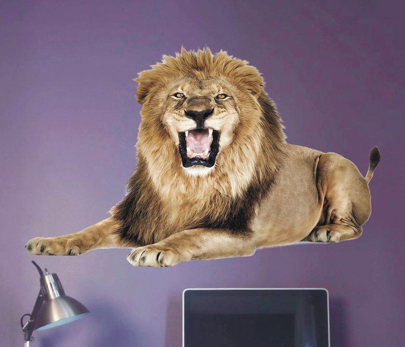 Jagvii 72 cm Lion Self Adhesive Sticker  (Pack of 1)