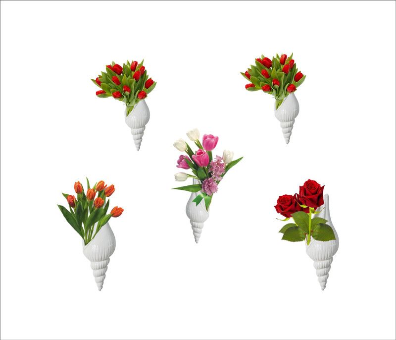 WALL STICKER 50 cm GNWD462 Self Adhesive Sticker  (Pack of 1)