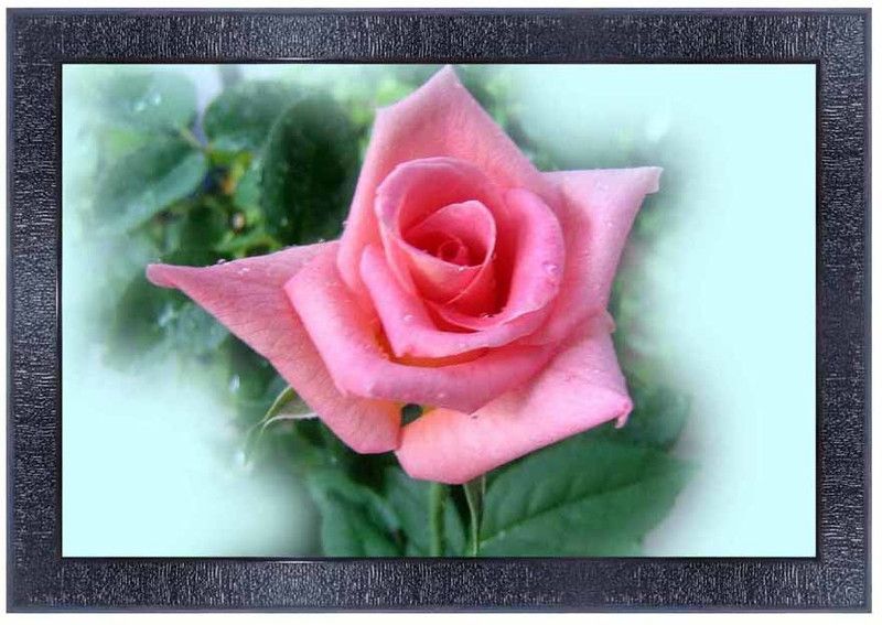 pnf New born Baby Frames Wood Photo Frames with Acrylic Sheet (Glass)0446 Digital Reprint 10 inch x 14 inch Painting  (With Frame)
