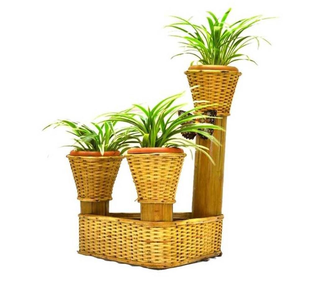 Live Indoor Plant Set With LED Light