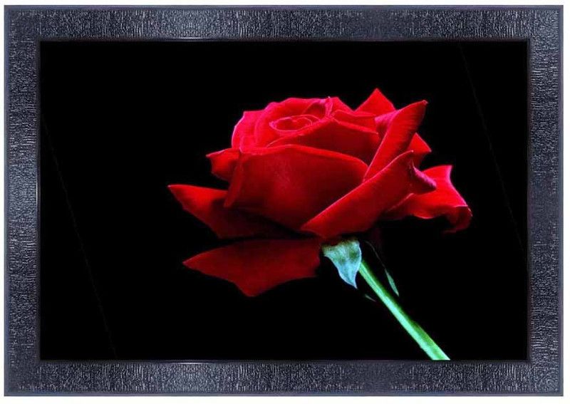 pnf New born Baby Frames Wood Photo Frames with Acrylic Sheet (Glass)1643 Digital Reprint 10 inch x 14 inch Painting  (With Frame)