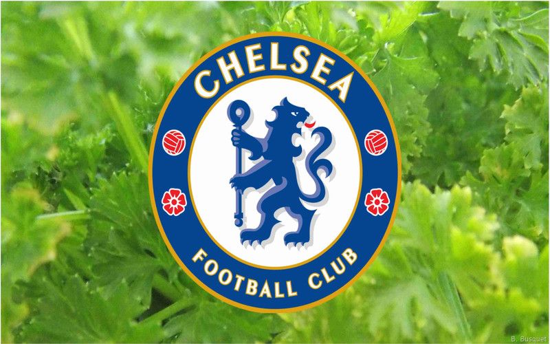 Chelsea F.C. Wall Poster For Room With Gloss Lamination M18 Paper Print  (12 inch X 18 inch, Rolled)