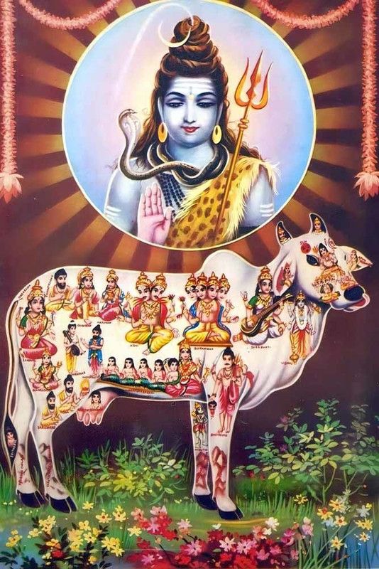 Mahadev | Mahakal | Bholenath | Lord Shiva Religious Waterproof Vinyl Sticker Poster || (24 inch X 36 inch) btcan3014-3 Fine Art Print  (36 inch X 24 inch)