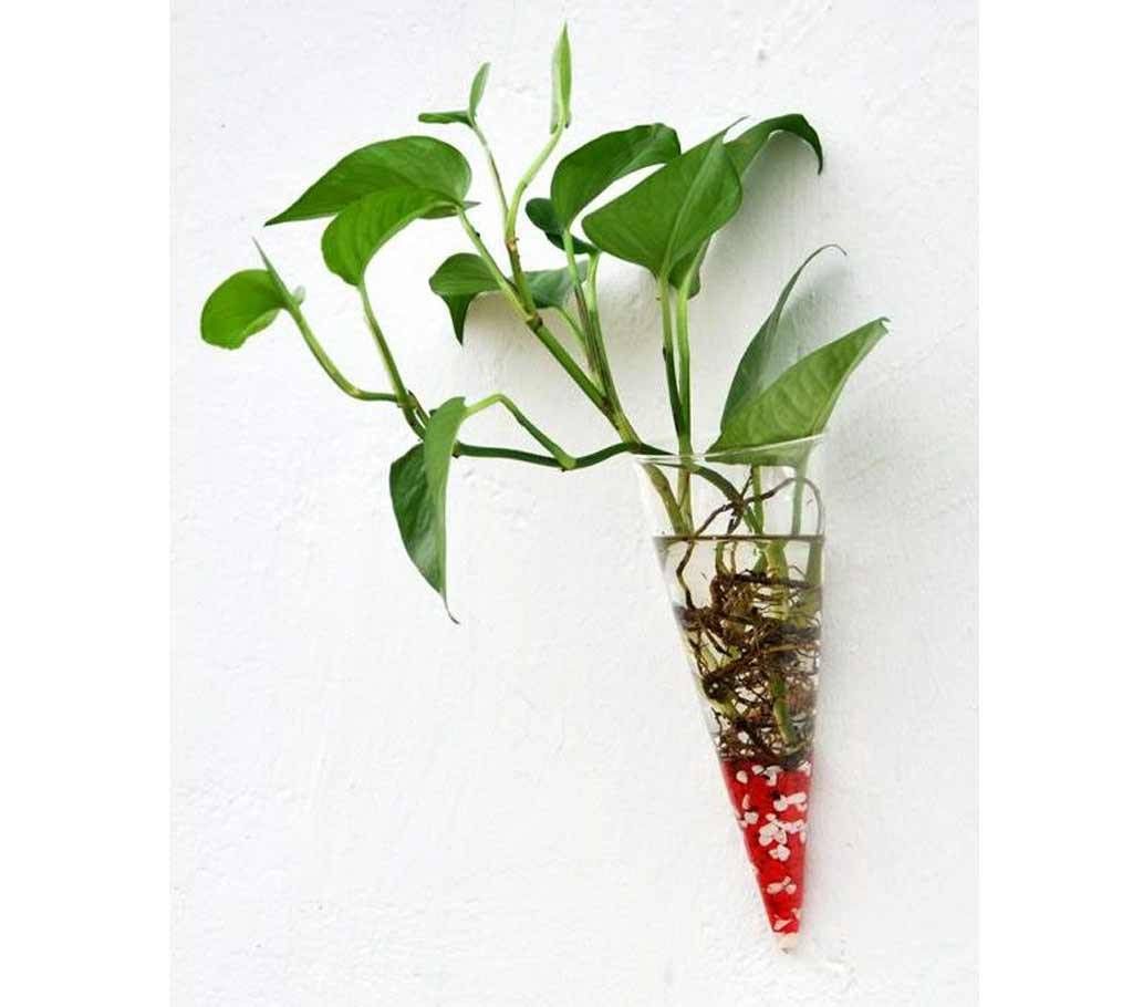 Cone Glass Wall Hanging Vase Bottle for Plant Flower Decor