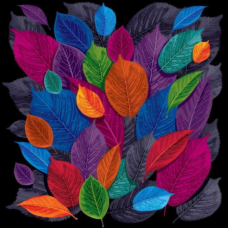 PAF PAF Flower Modern Art Wall painting Digital Reprint 11 inch x 11 inch Painting  (With Frame)