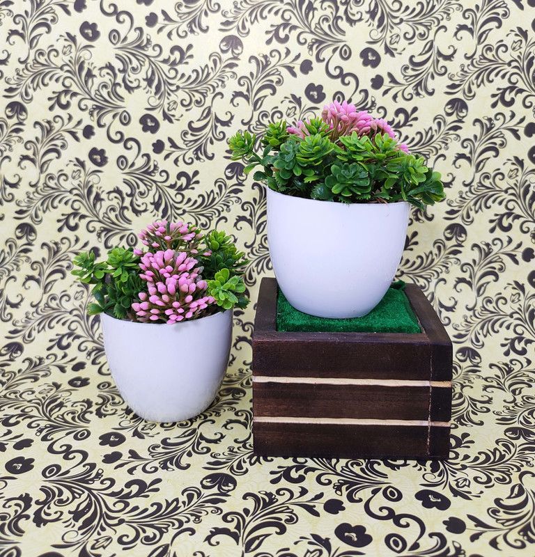 ds Artificial Small Flower Pot (pack of 2) Pink, Green Ballmum Artificial Flower with Pot  (4 inch, Pack of 2, Flower with Basket)