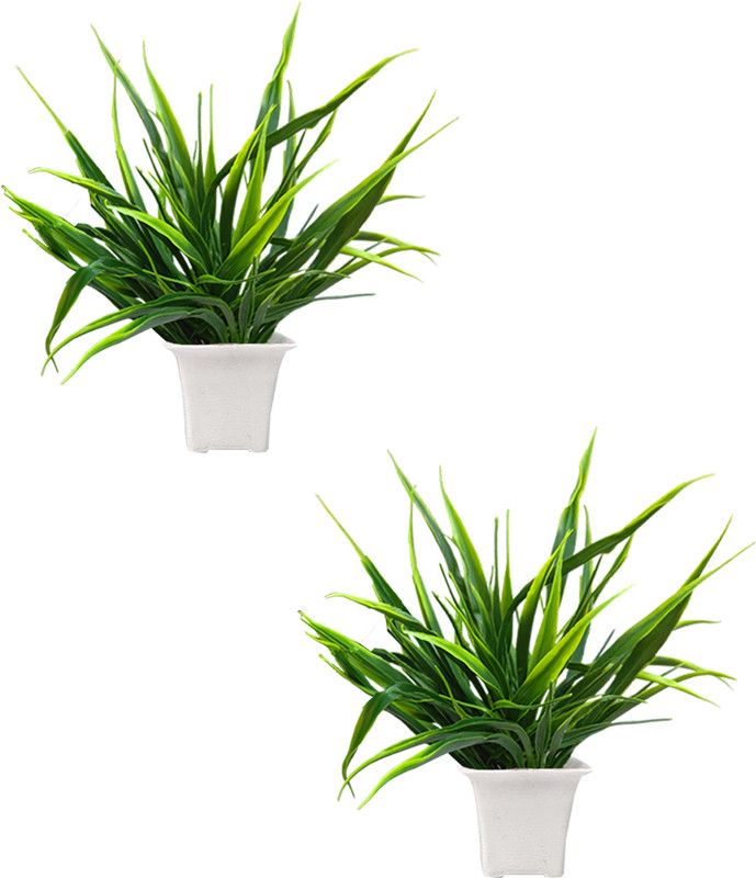 Aquarius Mart DECORATIVE PLANTS 2023 Green Wild Flower Artificial Flower with Pot  (5 inch, Pack of 2, Flower with Basket)