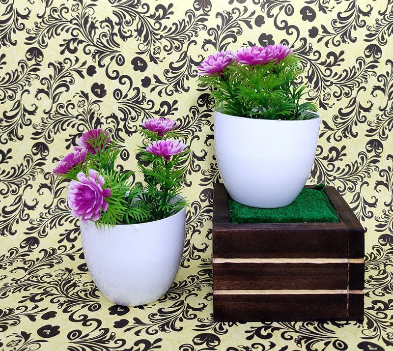 ds Artificial Purple Color Small Flower Pot (pack of 2) Purple Ballmum Artificial Flower with Pot  (4 inch, Pack of 2, Flower with Basket)