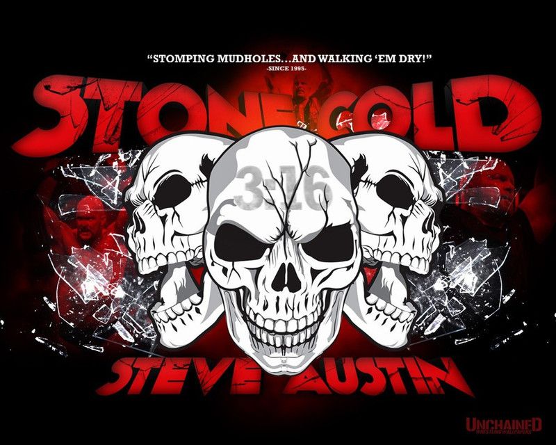 Poster Sports Stone Cold Steve Austin sl1327 (Plastic Large Wall Poster, 36x24 Inches, Multicolor) Fine Art Print  (24 inch X 36 inch, Rolled)