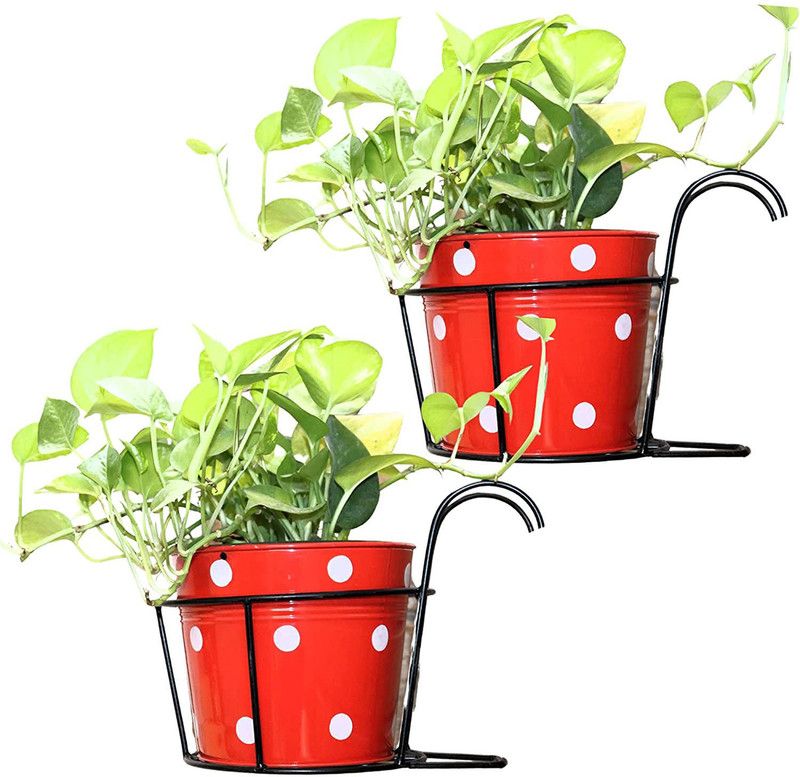 MK handcrafted STND 02 Iron Flower Basket  (W: 23 cm x H: 13 cm x D: 23 cm)