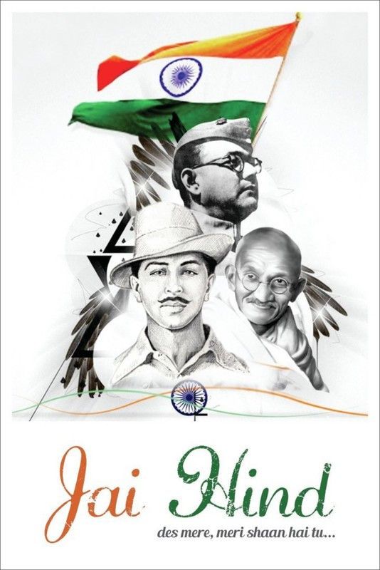 Poster Patriotic Bhagat Singh M Gandhi Subhash Chander Bose sl-10258 (Large Poster, 36x24 Inch, Banner Media Print, Multicolor) Fine Art Print  (24 inch X 36 inch, Rolled)