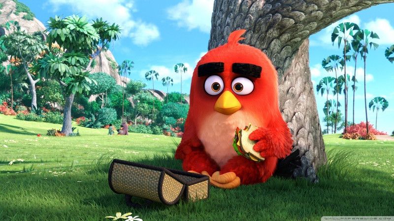 red angry birds movie wallpaper on LARGE PRINT 36X24 INCHES Photographic Paper  (24 inch X 36 inch, Rolled)