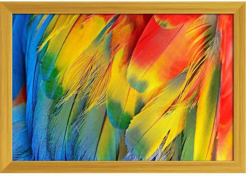 Scarlet Macaw Feathers D2 Paper Poster Golden Frame | Top Acrylic Glass 19inch x 13inch (48.3cms x 33cms) Paper Print  (13 inch X 19 inch, Framed)
