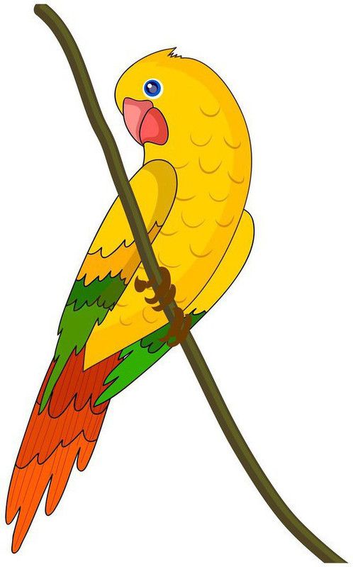 skgraphics 42 cm Tropical parrot yellow color wall sticker Self Adhesive Sticker  (Pack of 1)