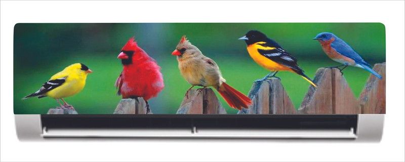 K2A Studio 91 cm Beautiful colorful birds Ac sticker Self Adhesive Sticker  (Pack of 1)