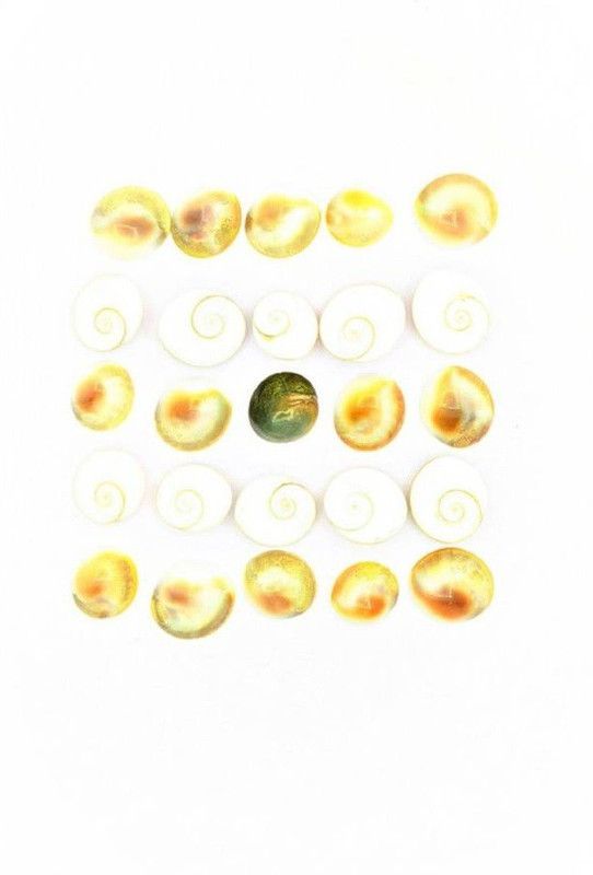 gandak Gomti Chakra (25 Pieces) For Good Health & Wealth Decorative Showpiece - 1 cm  (Stone, White)