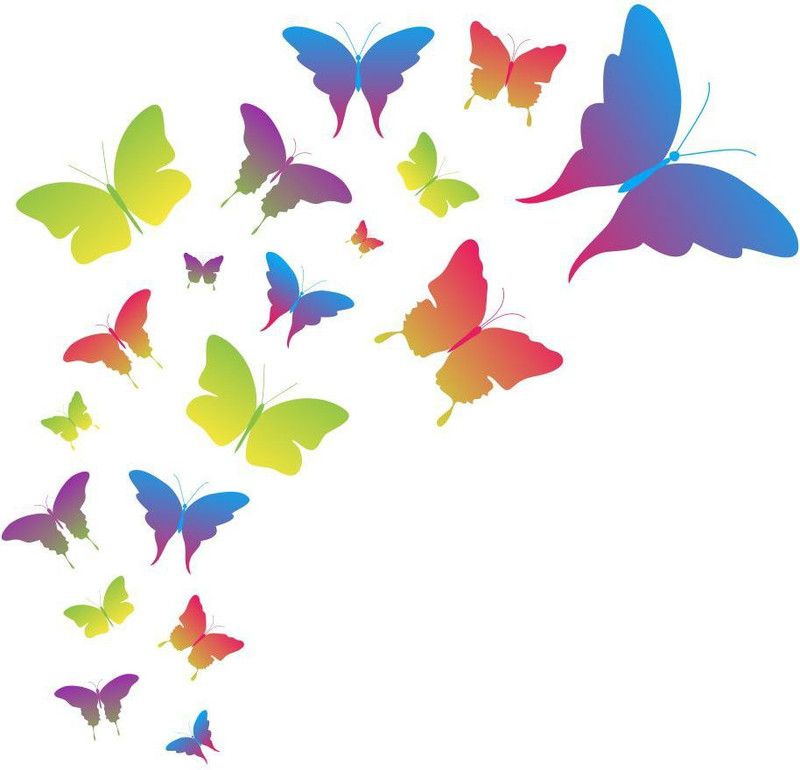 Décor Kraft 45 cm Color Butterflies Wall Sticker Self Adhesive Sticker  (Pack of 1)